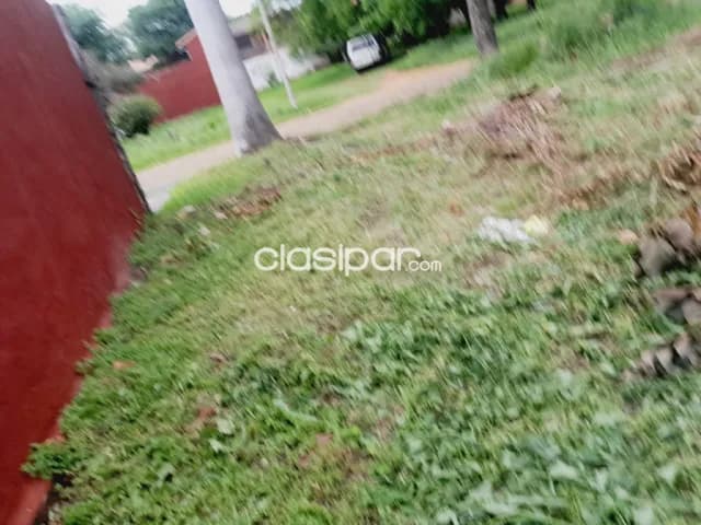 Terreno en venta zona residencial de Luque — foto 5