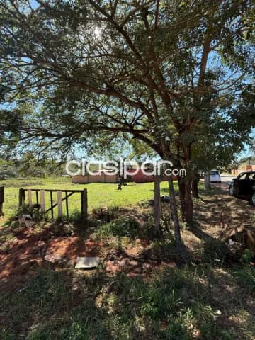 terreno de 6.235 m2 sobre Ruta Paso de Oro, Ypané — foto 5