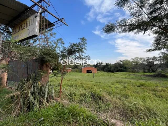 Amplio terreno comercial industrial ruta thompson ypane — foto 4