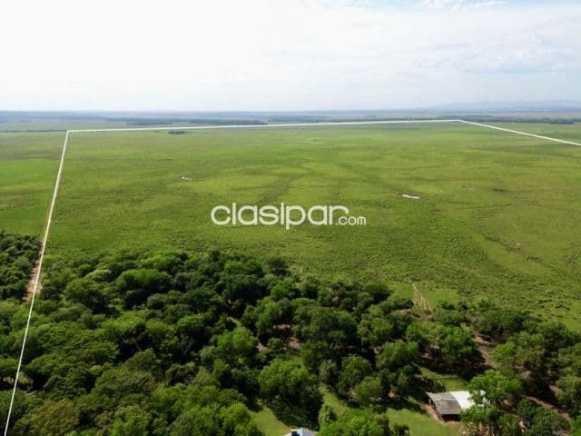 Campo Ganadero en Coronel Oviedo - 203 Ha — foto 1