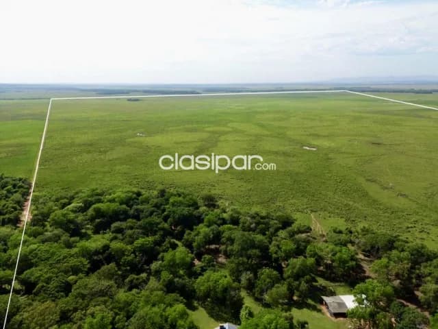 Campo Ganadero en Coronel Oviedo - 203 Ha — foto 2