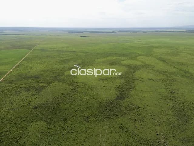 Campo Ganadero en Coronel Oviedo - 203 Ha — foto 3