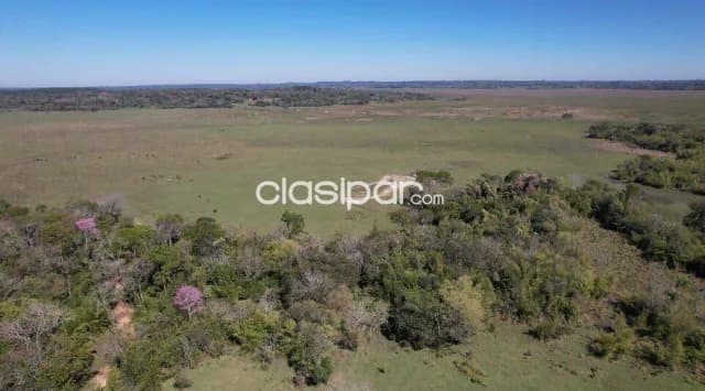 Amplio terreno rural de 45 há en coronel oviedo, sobre ruta py08, zona chircaty — foto 2