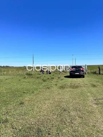 Amplio terreno rural de 45 há en coronel oviedo, sobre ruta py08, zona chircaty — foto 3