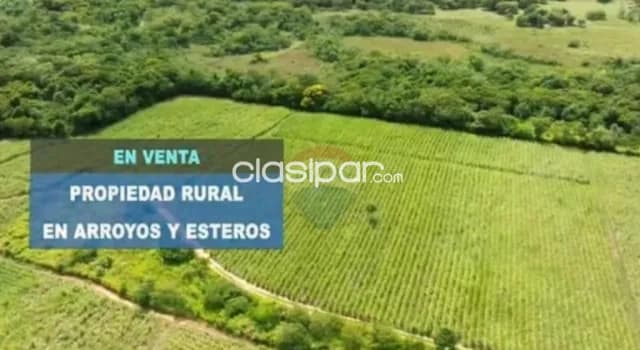 55 hectáreas en arroyos y esteros-cordillera c/80 mtrs de playa s/rio manduvira, foto 4