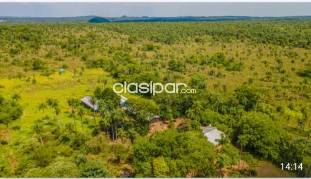 Oferta de 8 ha.en Altos, foto 3