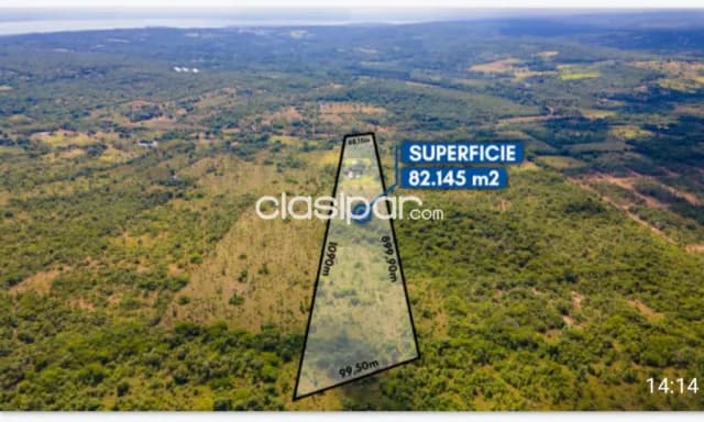Oferta de 8 ha.en Altos, foto 4