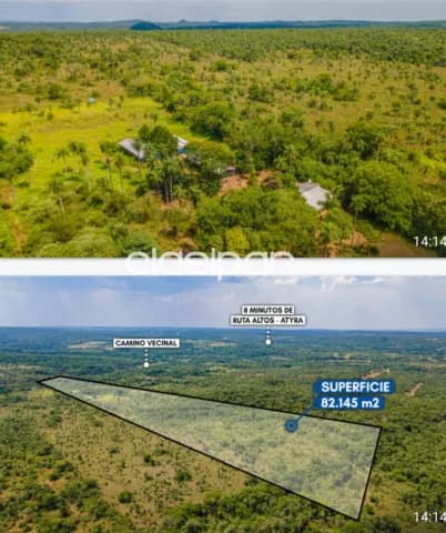 Oferta de 8 ha.en Altos, foto 5