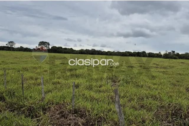 220 hectareas en san estanislao — foto 3