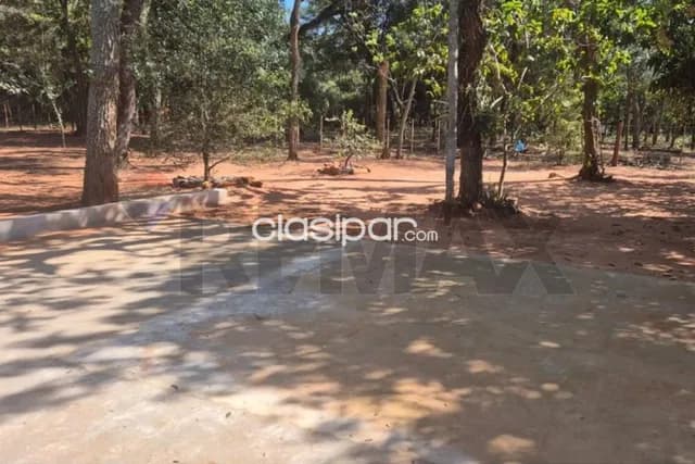 220 hectareas en san estanislao — foto 5