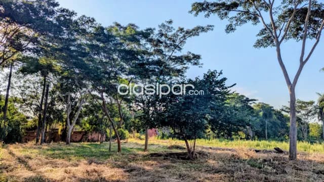 Terreno en esquina en limpio - b° isla aranda, foto 2