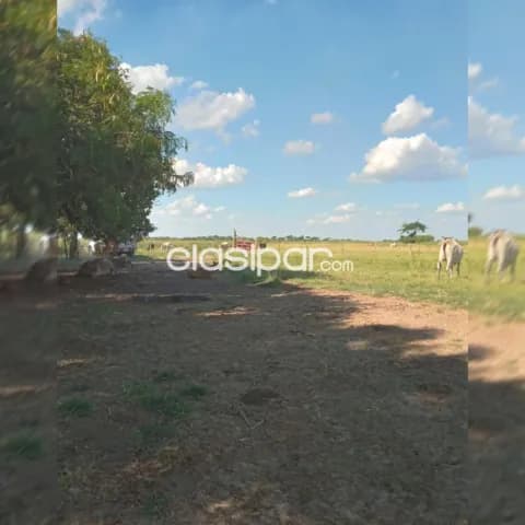 1.300 hectáreas en II (dos)., títulos que se venden todo juntos. Impuestos al día y a tran, foto 5