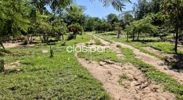 Terreno Comercial / Industrial sobre Avenida en Limpio - 15000 m2