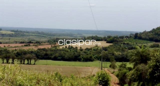 Campo Agrícola Mecanizado en San Pedro del Paraná - 90 Ha