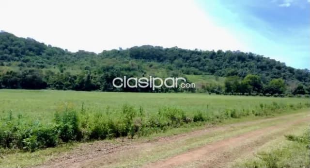 Campo Agrícola Mecanizado en San Pedro del Paraná - 90 Ha — foto 3