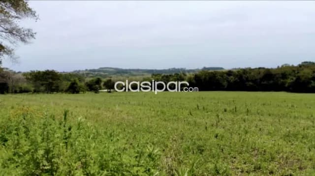 Campo Agrícola Mecanizado en San Pedro del Paraná - 90 Ha — foto 4