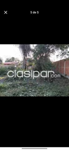 Terreno en Luque, cañada garay — foto 3