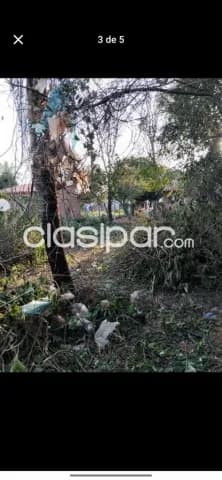 Terreno en Luque, cañada garay — foto 4