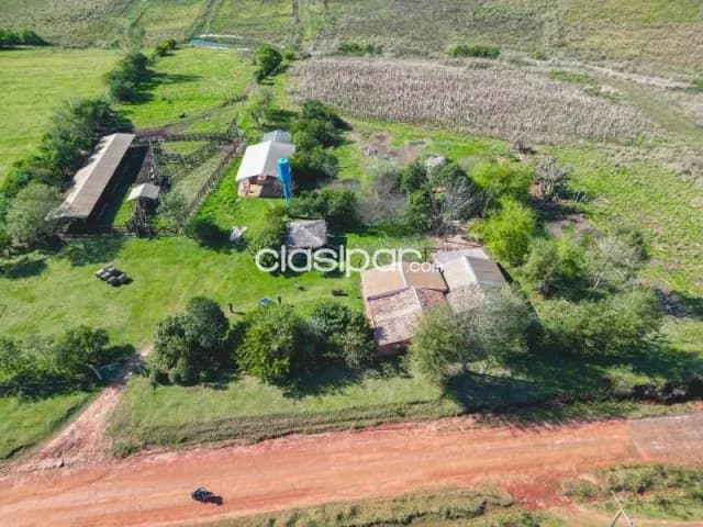 Campo Agrícola/Ganadero en José Domingo Ocampos - 43 Ha — foto 4