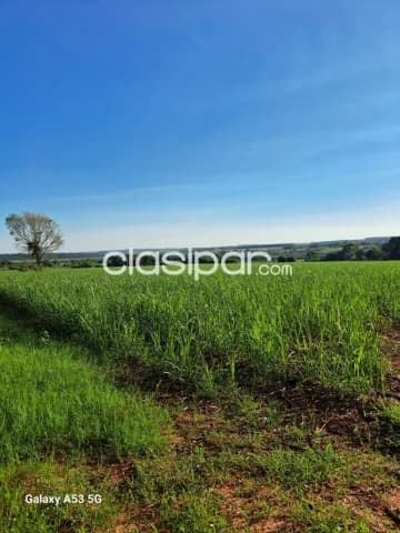 Campo Agrícola/Ganadero en Caaguazú - 49 Ha, foto 2