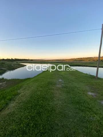 Campo Agrícola/Ganadero en Caaguazú - 49 Ha, foto 3