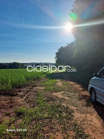Campo Agrícola/Ganadero en Caaguazú - 49 Ha, foto 4