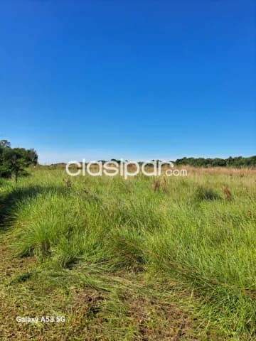 Campo Agrícola/Ganadero en Caaguazú - 49 Ha, foto 5