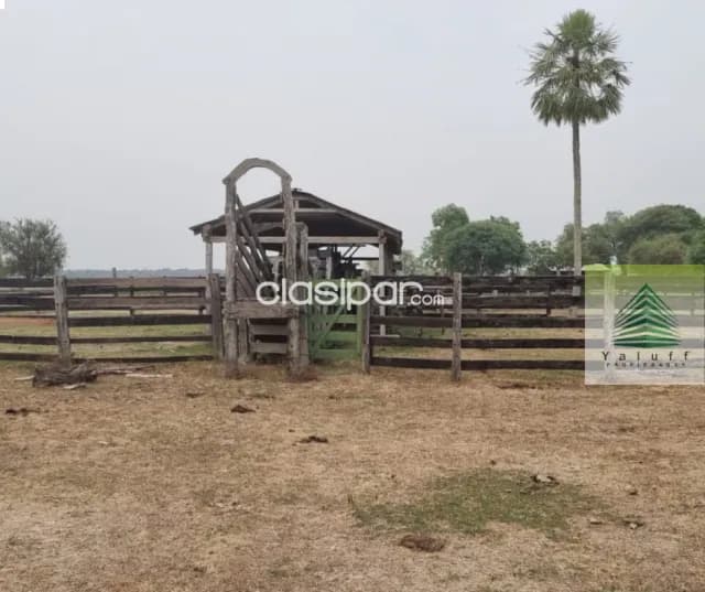 Campo en estanzuela villa oliva de 276 hectáreas a 3 kilómetros de la ruta asfaltada — foto 3