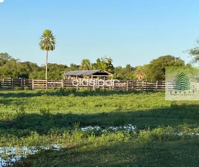 Campo en estanzuela villa oliva de 276 hectáreas a 3 kilómetros de la ruta asfaltada — foto 5