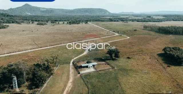 Campo desarrollado 391,42 en ybytumi km 6 ruta la colmena — foto 3