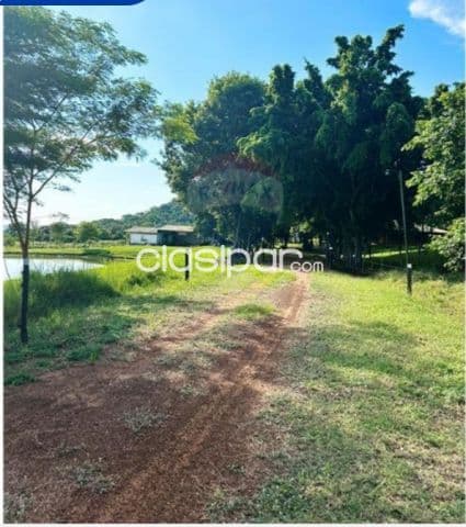 Oferta 100 hectáreas en ybycui p/actividad ganadera c/casa amplia lista p/hab