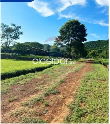 Oferta 100 hectáreas en ybycui p/actividad ganadera c/casa amplia lista p/hab, foto 3