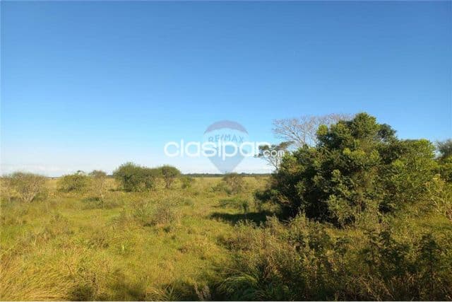54 hectareas en coronel bogado