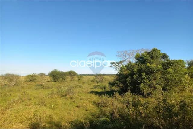 54 hectareas en coronel bogado — foto 2