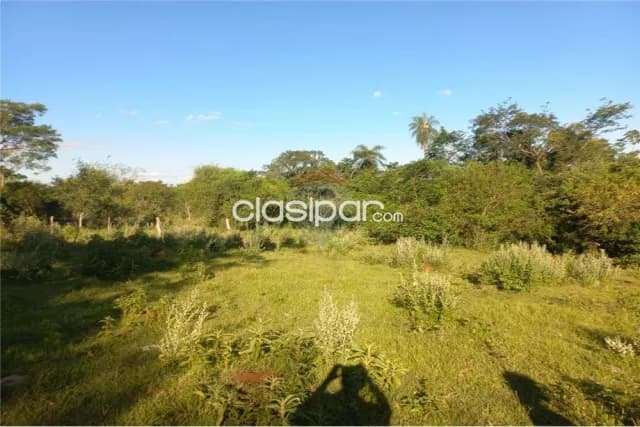 54 hectareas en coronel bogado — foto 3