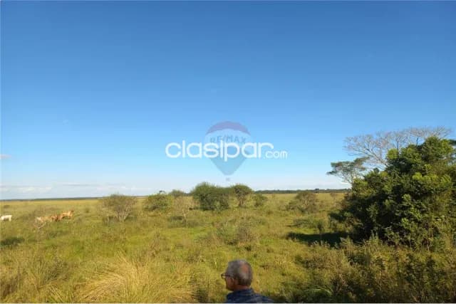 54 hectareas en coronel bogado — foto 4