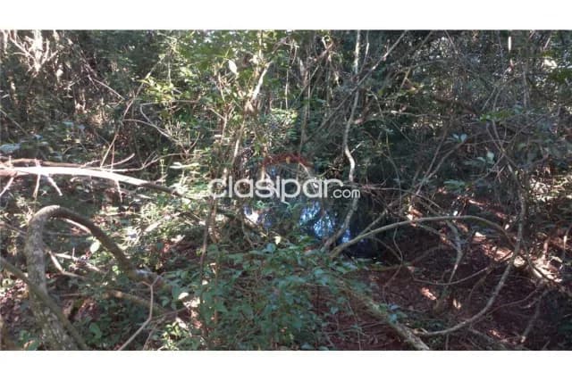 54 hectareas en coronel bogado — foto 5