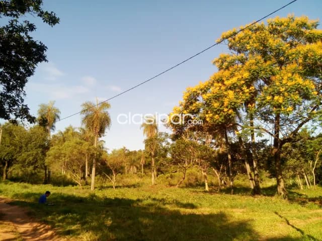 terreno 720 metros a lado area municipalidad. Esquina — foto 3