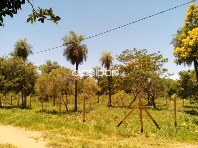 terreno 720 metros a lado area municipalidad. Esquina — foto 4