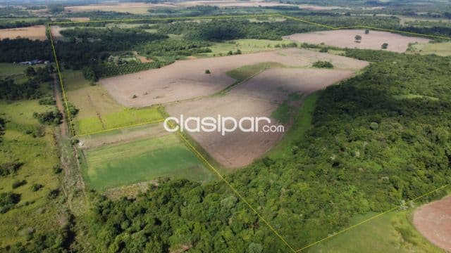 Campo Agrícola/Ganadero en Fram - 127 Ha