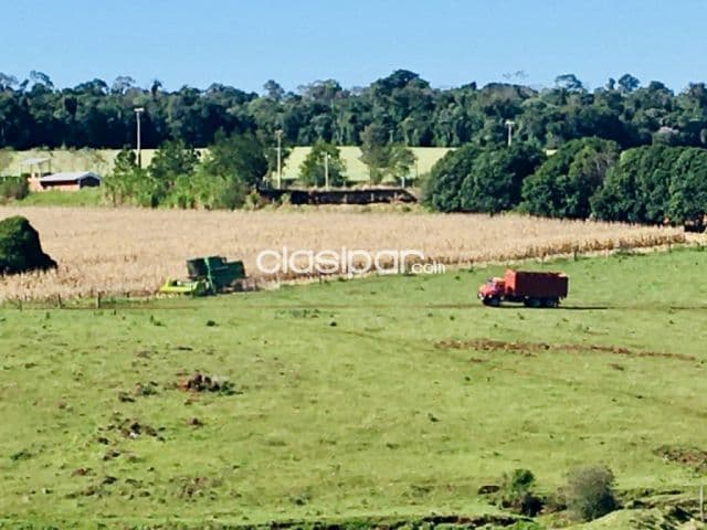 Terreno Rural en Bella Vista - 10 Ha — foto 1