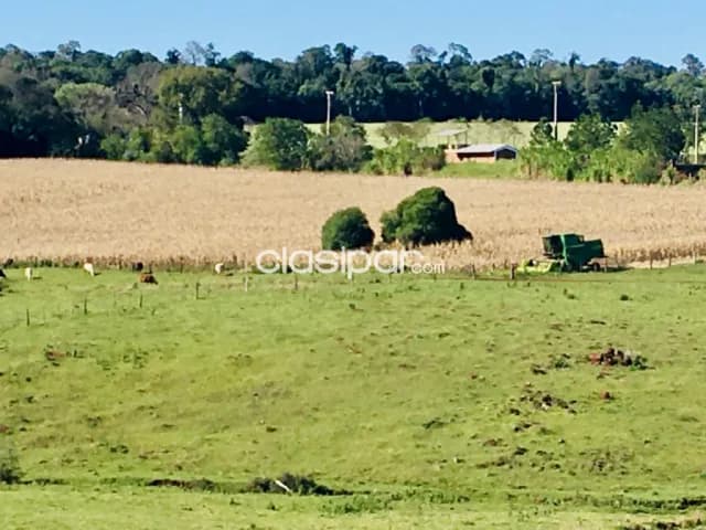 Terreno Rural en Bella Vista - 10 Ha — foto 3