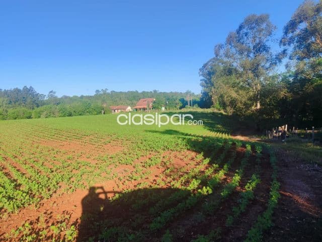 Granja en Bella Vista - 16 Ha