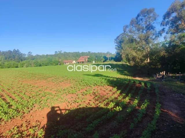 Granja en Bella Vista - 16 Ha, foto 2