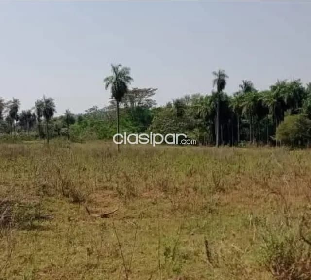 Departamento de paraguari- yaguaron vendo 21 hectáreas zona alta apto para granja y afine — foto 2