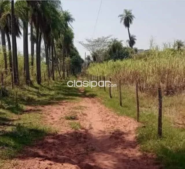 Departamento de paraguari- yaguaron vendo 21 hectáreas zona alta apto para granja y afine — foto 4