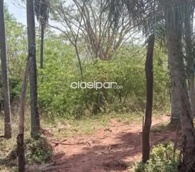 Departamento de paraguari- yaguaron vendo 21 hectáreas zona alta apto para granja y afine — foto 5