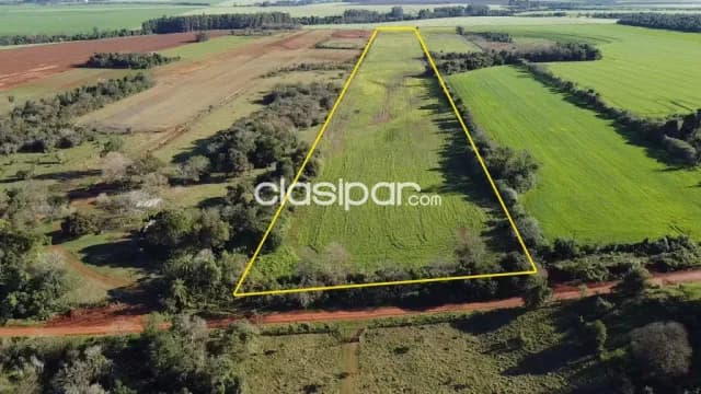 Terreno Agrícola Mecanizado en Los Cedrales - 10 Ha — foto 2