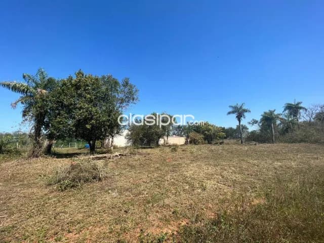 4 lotes juntos o en 2 partes de 2 lotes juntos. Tarumandy - Luque, foto 2