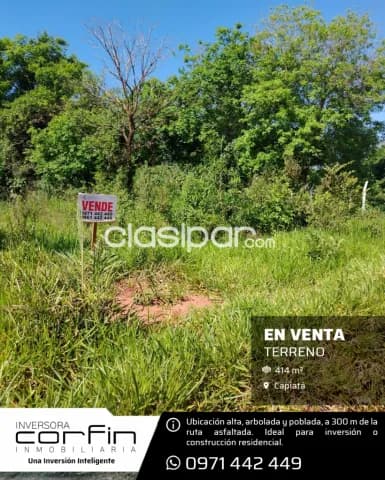 Capiatá: Terreno de 414 m² en zona toledo cañada, plano, alto y arbolado — foto 2